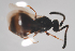  ( - NOCER-473)  @11 [ ] CC-NC-SA (2021) Arnstein Staverlokk Norwegian Institute of Nature Research