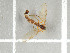  ( - NHMO-DAR-11692)  @11 [ ] CreativeCommons - Attribution Non-Commercial Share-Alike (2016) Unspecified University of Oslo, Natural History Museum