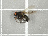  ( - NHMO-DAR-11720)  @12 [ ] CreativeCommons - Attribution Non-Commercial Share-Alike (2016) Unspecified University of Oslo, Natural History Museum