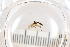  ( - FinMyc500-509)  @12 [ ] Unspecified (default): All Rights Reserved  Unspecified Unspecified