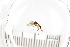  ( - FinMyc500-534)  @12 [ ] Unspecified (default): All Rights Reserved  Unspecified Unspecified