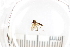  ( - FinMyc500-543)  @12 [ ] Unspecified (default): All Rights Reserved  Unspecified Unspecified
