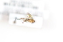  ( - MYC10045275)  @12 [ ] Unspecified (default): All Rights Reserved  Unspecified Unspecified