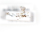  ( - MYC10045396)  @11 [ ] Unspecified (default): All Rights Reserved  Unspecified Unspecified