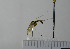  ( - NHMO10069767)  @12 [ ] No Rights Reserved (2013) Unspecified University of Oslo, Natural History Museum