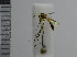  ( - NHMO10069812)  @12 [ ] No Rights Reserved (2013) Unspecified University of Oslo, Natural History Museum
