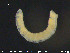  ( - CE23026)  @12 [ ] CreativeCommons - Attribution Non-Commercial Share-Alike (2015) NTNU University Museum, Department of Natural History NTNU University Museum, Department of Natural History