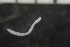  ( - CE30029)  @11 [ ] CreativeCommons - Attribution Share-Alike (2017) Christer Erséus University of Gothenburg