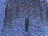  ( - BON_27_2020)  @11 [ ] CreativeCommons - Attribution Share-Alike (2023) Eric Sanford University of California, Davis