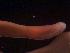  ( - BON_59_2020)  @11 [ ] CreativeCommons - Attribution Share-Alike (2023) Eric Sanford University of California, Davis
