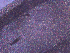  ( - BON_63_2020)  @11 [ ] CreativeCommons - Attribution Share-Alike (2023) Eric Sanford University of California, Davis