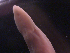  ( - BON_70_2020)  @11 [ ] CreativeCommons - Attribution Share-Alike (2023) Eric Sanford University of California, Davis