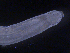  ( - BON_87_2020)  @11 [ ] CreativeCommons - Attribution Share-Alike (2024) Eric Sanford University of California, Davis