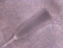  ( - BON_88_2020)  @11 [ ] CreativeCommons - Attribution Share-Alike (2024) Eric Sanford University of California, Davis