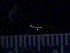  ( - BON_91_2020)  @11 [ ] CreativeCommons - Attribution Share-Alike (2024) Eric Sanford University of California, Davis