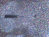  ( - B7_2019)  @11 [ ] CreativeCommons - Attribution Share-Alike (2023) Eric Sanford University of California, Davis