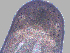  ( - B9_2019)  @11 [ ] CreativeCommons - Attribution Share-Alike (2023) Eric Sanford University of California, Davis