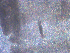  ( - B5_2019)  @11 [ ] CreativeCommons - Attribution Share-Alike (2023) Eric Sanford University of California, Davis