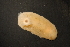  ( - TB280)  @11 [ ] CreativeCommons - Attribution Share-Alike (2019) Unspecified University of Bergen, Natural History Collections
