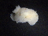  ( - TB364)  @11 [ ] CreativeCommons - Attribution Share-Alike (2019) Unspecified University of Bergen, Natural History Collections