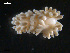  ( - TB453)  @13 [ ] CreativeCommons - Attribution Non-Commercial Share-Alike (2011) NTNU Vitenskapsmuseet NTNU Museum of Natural History and Archaeology
