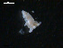  ( - TB461)  @13 [ ] CreativeCommons - Attribution Non-Commercial Share-Alike (2011) NTNU Vitenskapsmuseet NTNU Museum of Natural History and Archaeology
