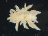  ( - NaSk53)  @11 [ ] Creative Commons  Attribution Non-Commercial Share-Alike (2019) NTNU University Museum, Department of Natural History NTNU University Museum, Department of Natural History