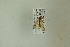  ( - NHMO-DAR-12491)  @11 [ ] CreativeCommons - Attribution Non-Commercial Share-Alike (2017) Unspecified University of Oslo, Natural History Museum