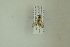  ( - NHMO-DAR-12492)  @11 [ ] CreativeCommons - Attribution Non-Commercial Share-Alike (2017) Unspecified University of Oslo, Natural History Museum