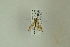  ( - NHMO-DAR-12490)  @11 [ ] CreativeCommons - Attribution Non-Commercial Share-Alike (2017) Unspecified University of Oslo, Natural History Museum
