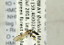  ( - NHMO-ENT-440870)  @12 [ ] CreativeCommons - Attribution Non-Commercial Share-Alike (2019) Unspecified University of Oslo, Natural History Museum