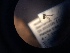  ( - NHMO-ENT-299087)  @12 [ ] CreativeCommons - Attribution Non-Commercial Share-Alike (2018) Unspecified University of Oslo, Natural History Museum