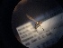  ( - NHMO-ENT-298800)  @12 [ ] CreativeCommons - Attribution Non-Commercial Share-Alike (2018) Unspecified University of Oslo, Natural History Museum