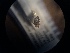  ( - NHMO-ENT-298881)  @11 [ ] CreativeCommons - Attribution Non-Commercial Share-Alike (2018) Unspecified University of Oslo, Natural History Museum