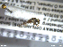  ( - NHMO-ENT-438155)  @11 [ ] CreativeCommons - Attribution Non-Commercial Share-Alike (2018) Unspecified University of Oslo, Natural History Museum