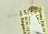  ( - NTNU-VM-203670)  @11 [ ] CreativeCommons - Attribution Non-Commercial Share-Alike (2019) Unspecified University of Oslo, Natural History Museum