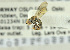  ( - NHMO-ENT-441606)  @12 [ ] CreativeCommons - Attribution Non-Commercial Share-Alike (2019) Unspecified University of Oslo, Natural History Museum