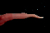  ( - ETP036_SMPP0734)  @11 [ ] CreativeCommons  Attribution Non-Commercial Share-Alike (2019) Unspecified Smithsonian Tropical Research Institute