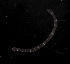  ( - Pili_ETP033_SMPP0009)  @11 [ ] CreativeCommons  Attribution Non-Commercial Share-Alike (2019) Unspecified Smithsonian Tropical Research Institute