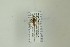  ( - NHMO-DAR-13357)  @12 [ ] CreativeCommons - Attribution Non-Commercial Share-Alike (2017) Unspecified University of Oslo, Natural History Museum