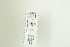  ( - NHMO-DAR-13021)  @12 [ ] CreativeCommons - Attribution Non-Commercial Share-Alike (2017) Unspecified University of Oslo, Natural History Museum