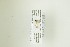  ( - NHMO-DAR-13011)  @11 [ ] CreativeCommons - Attribution Non-Commercial Share-Alike (2017) Unspecified University of Oslo, Natural History Museum