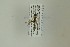  ( - NHMO-DAR-13412)  @12 [ ] CreativeCommons - Attribution Non-Commercial Share-Alike (2017) Unspecified University of Oslo, Natural History Museum