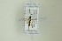  ( - NHMO-DAR-13241)  @12 [ ] CreativeCommons - Attribution Non-Commercial Share-Alike (2017) Unspecified University of Oslo, Natural History Museum