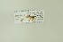  ( - NHMO-DAR-13017)  @12 [ ] CreativeCommons - Attribution Non-Commercial Share-Alike (2017) Unspecified University of Oslo, Natural History Museum