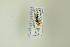  ( - NHMO-DAR-12911)  @11 [ ] CreativeCommons - Attribution Non-Commercial Share-Alike (2017) Unspecified University of Oslo, Natural History Museum