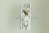  ( - NHMO-DAR-13246)  @12 [ ] CreativeCommons - Attribution Non-Commercial Share-Alike (2017) Unspecified University of Oslo, Natural History Museum