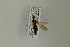  ( - NHMO-DAR-13376)  @12 [ ] CreativeCommons - Attribution Non-Commercial Share-Alike (2017) Unspecified University of Oslo, Natural History Museum