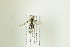  ( - NHMO-DAR-13030)  @11 [ ] CreativeCommons - Attribution Non-Commercial Share-Alike (2017) Unspecified University of Oslo, Natural History Museum