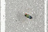  ( - NHMO-DAR-6391)  @12 [ ] CreativeCommons - Attribution Non-Commercial Share-Alike (2015) Unspecified University of Oslo, Natural History Museum